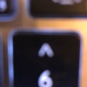 Meet your Posher, Amelia